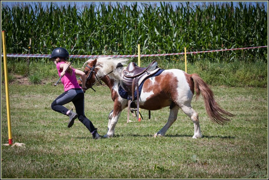 Mounted Games 121